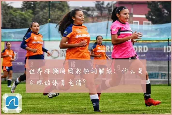 世界杯期间购彩热词解读:什么是合规的体育竞猜?