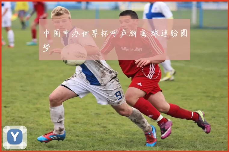 中国申办世界杯呼声渐高 球迷盼圆梦