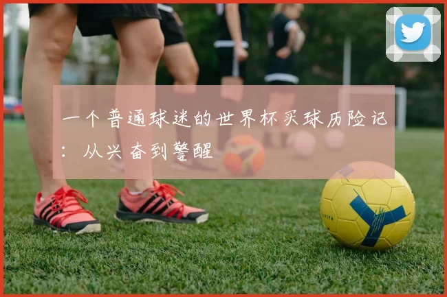 一个普通球迷的世界杯买球历险记:从兴奋到警醒