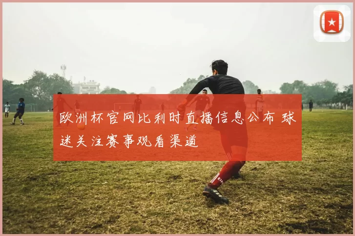 欧洲杯官网比利时直播信息公布 球迷关注赛事观看渠道