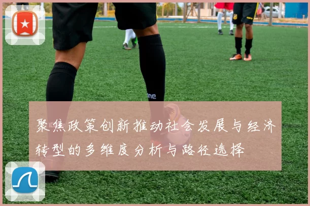 聚焦政策创新推动社会发展与经济转型的多维度分析与路径选择