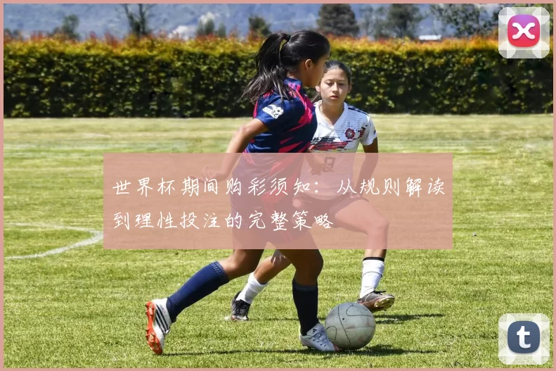 世界杯期间购彩须知：从规则解读到理性投注的完整策略