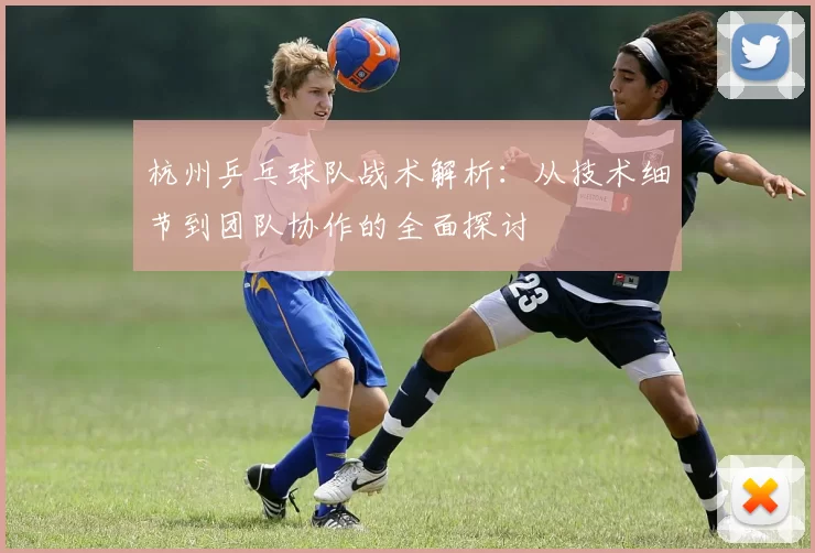 杭州乒乓球队战术解析:从技术细节到团队协作的全面探讨