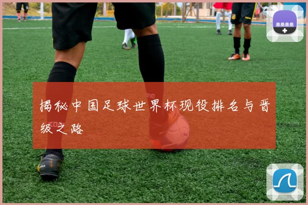 揭秘中国足球世界杯现役排名与晋级之路