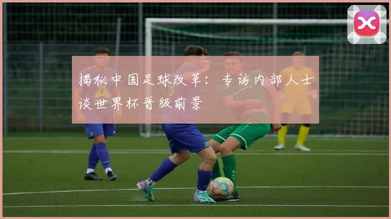 揭秘中国足球改革:专访内部人士谈世界杯晋级前景