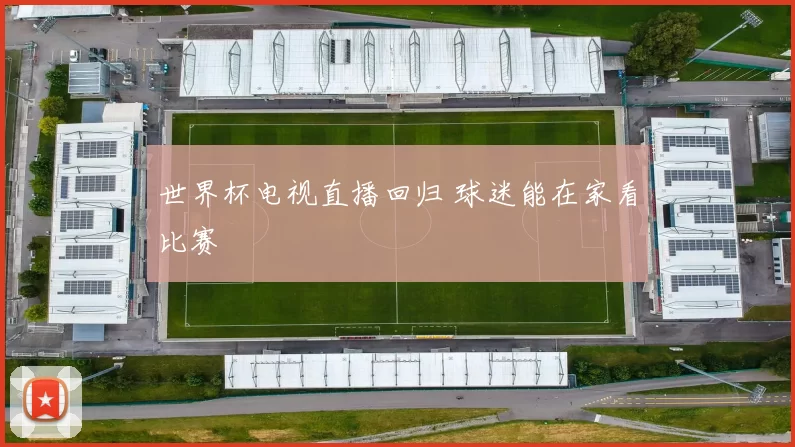 世界杯电视直播回归 球迷能在家看比赛