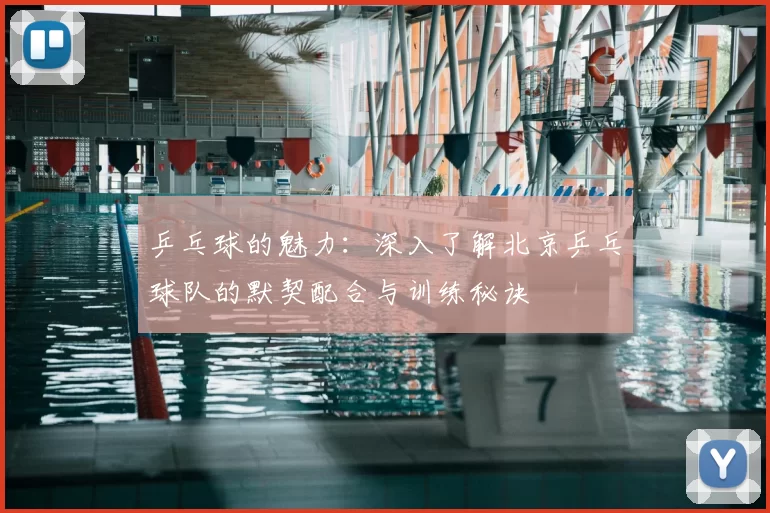 乒乓球的魅力：深入了解北京乒乓球队的默契配合与训练秘诀