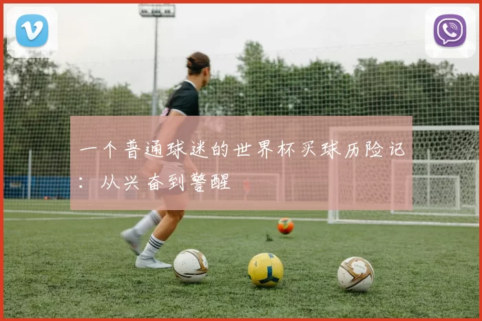 一个普通球迷的世界杯买球历险记：从兴奋到警醒