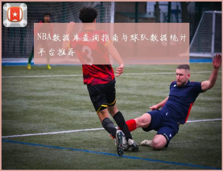 NBA数据库查询指南与球队数据统计平台推荐