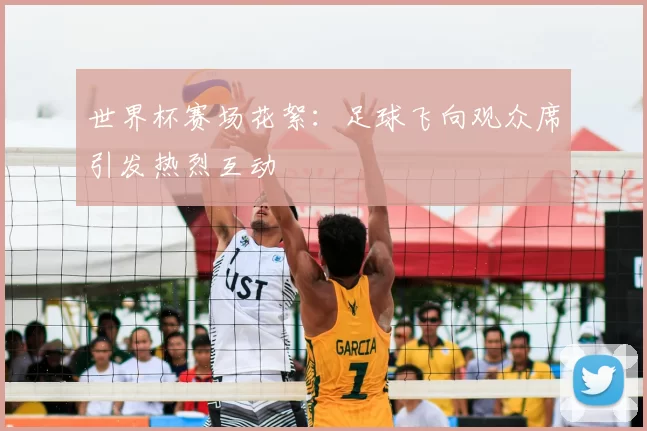 世界杯赛场花絮：足球飞向观众席引发热烈互动